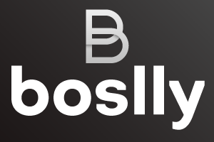 Boslly Blog Name Ideas Logo