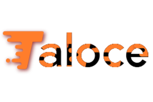 Taloce Blog Name Ideas Logo