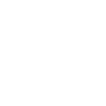 Brinso Logo
