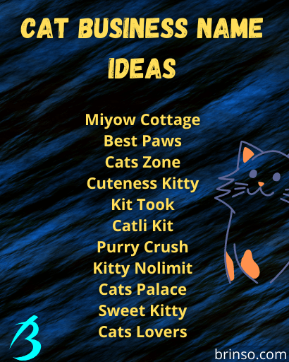 cat-business-name-ideas-examples