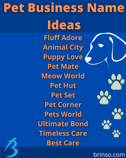 700+ Pet Business Name Ideas – Brinso