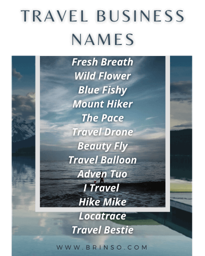 Travel-Business-Names-examples